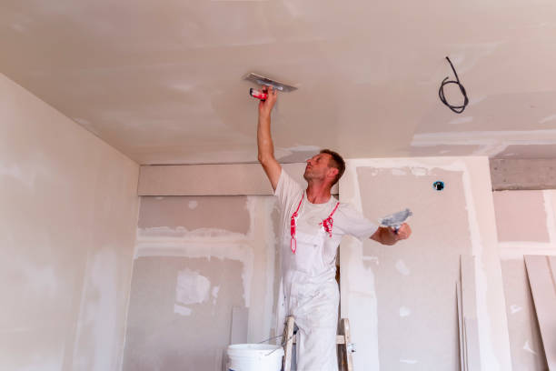 Best Drywall Crack Repair  in Paola, KS